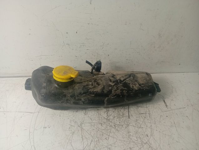 289104583R RENAULT comprar Madrid