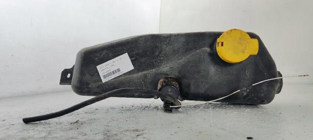 289104583R Renault (RVI)