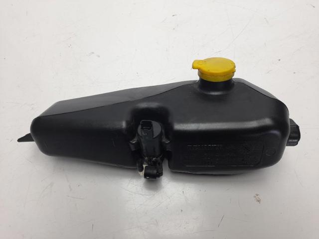 289104583R Renault (RVI)