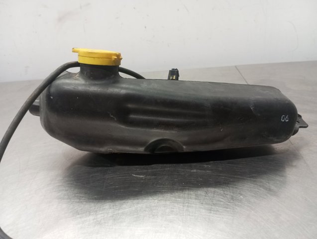 289104583R RENAULT comprar Madrid