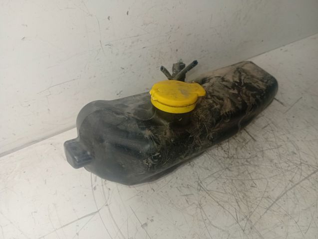 289104583R RENAULT  comprar en Lleida