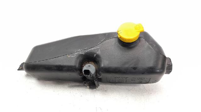 289104583R Renault (RVI)
