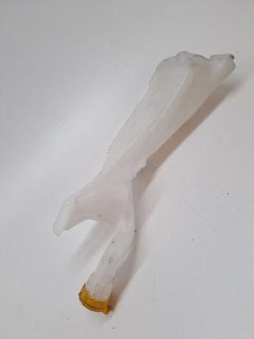 289107594R Tapa del depósito del limpiaparabrisas  disponible Málaga