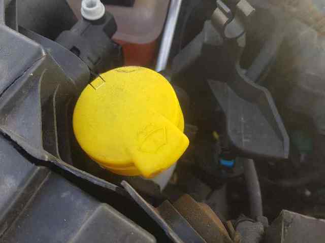 289107594R Renault (RVI)