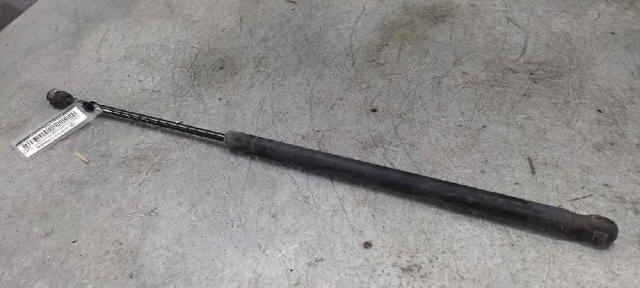 Amortiguador de puerta trasera 2N11N406A10AD FORD