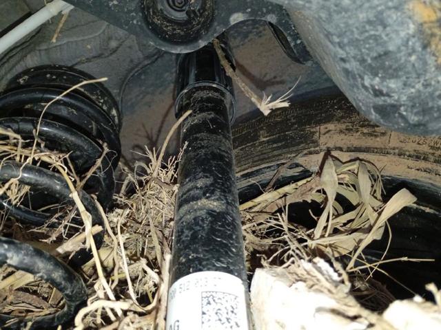 2Q0512013CT VAG