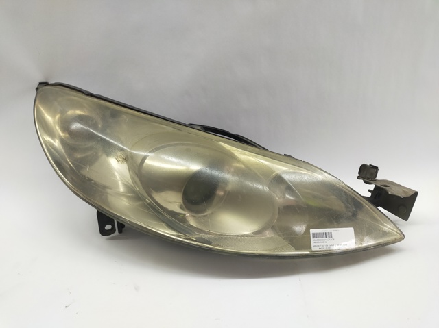 301213202 Peugeot/Citroen
