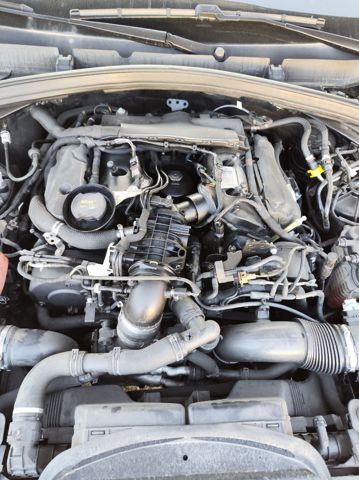 306DT Jaguar