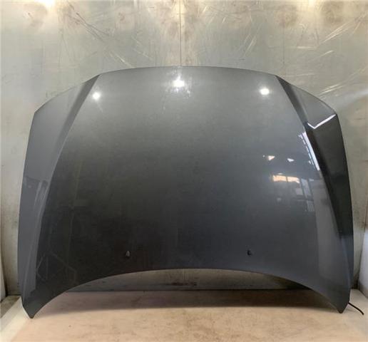 VOLVO 30796490 Capó  comprar en Ponferrada