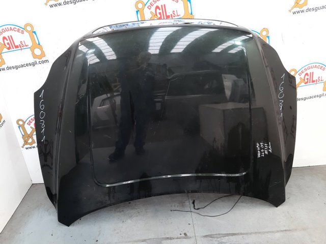 VOLVO 30796491 Capó  comprar en Ponferrada