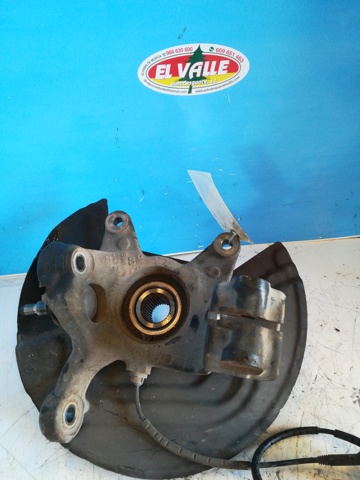 31213450557 BMW Mangueta delantera izquierda  comprar en Lleida