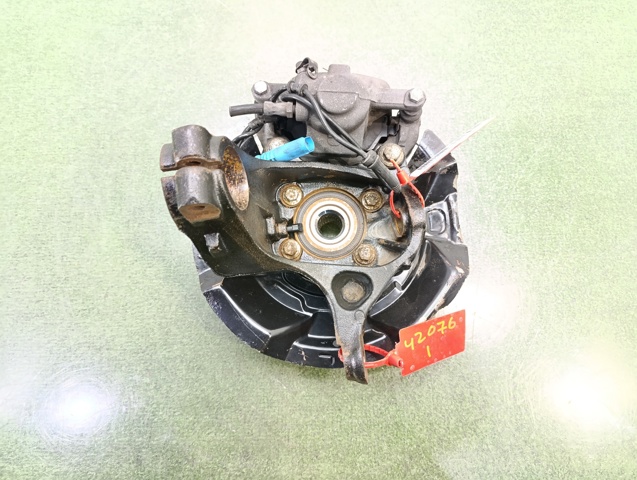 31216779795 BMW Mangueta delantera izquierda  comprar en Oviedo