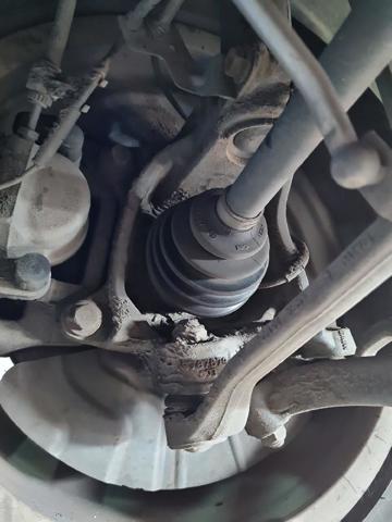 31216855953 Mangueta delantera izquierda  en stock Granada