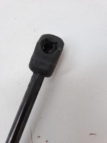 VOLVO 31298282 Amortiguador de capó  disponible Valladolid
