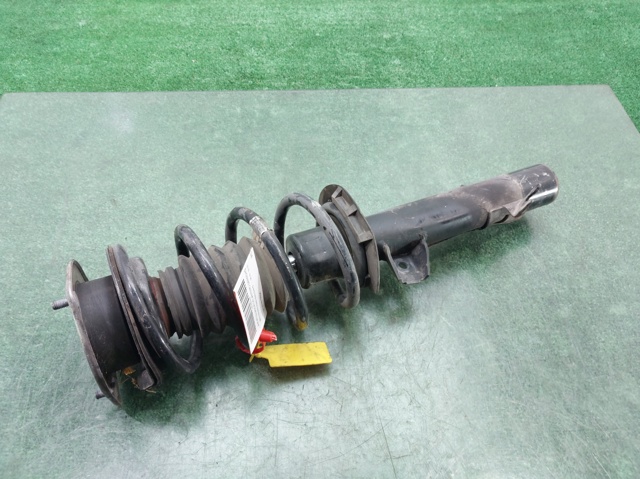 31309813654 BMW