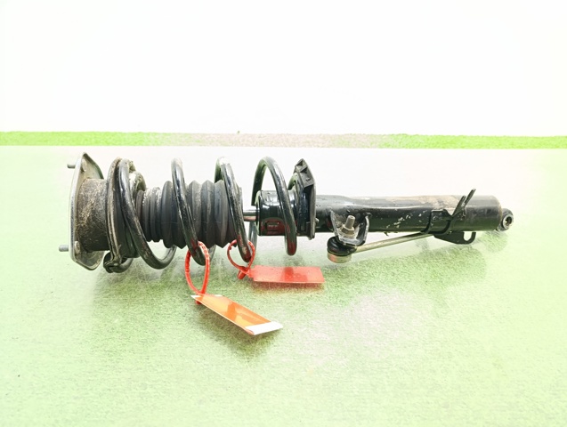 31309813654 BMW