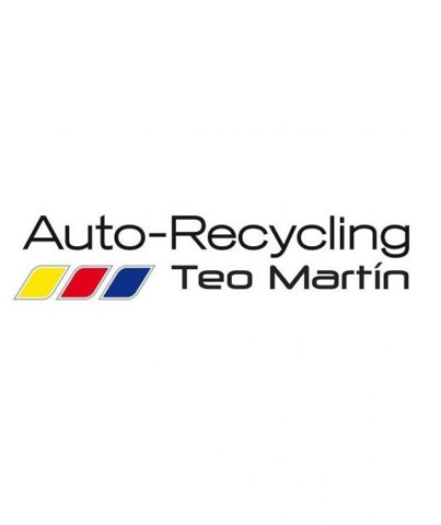 BMW 31311096858 Amortiguador delantero  comprar en Murcia