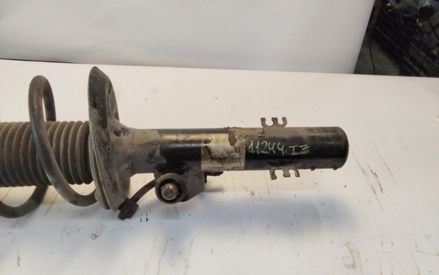 31313453521 BMW Amortiguador delantero izquierdo  comprar en Oviedo