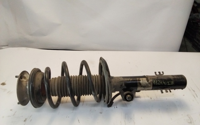 31313453521 Amortiguador delantero izquierdo  comprar en Zaragoza