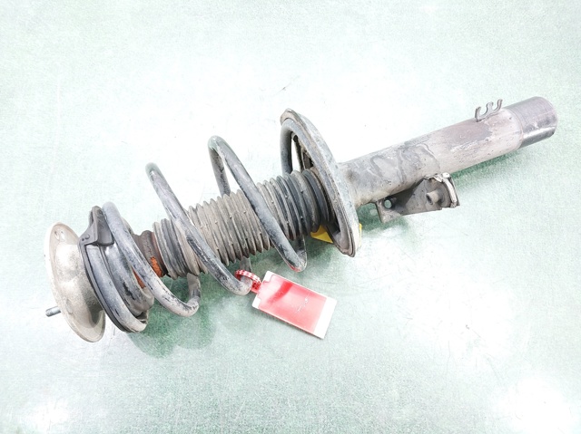 31313453522 BMW Amortiguador delantero derecho  comprar en Jaén