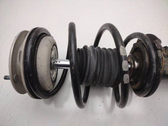 Amortiguador eje delantero izquierda 31316759097 BMW
