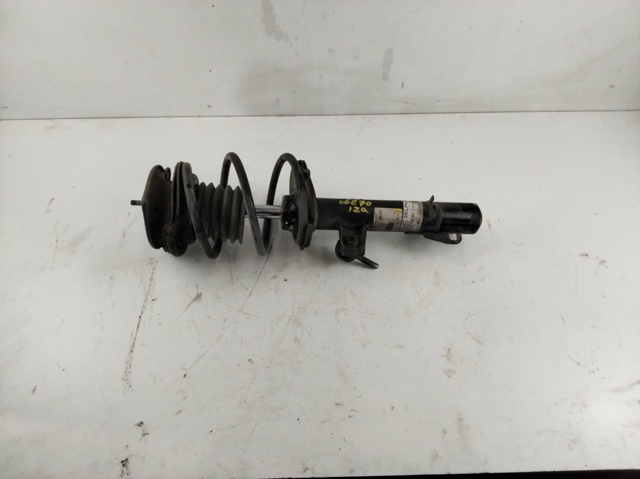 Amortiguador frontal izquierdo 31316759417 BMW