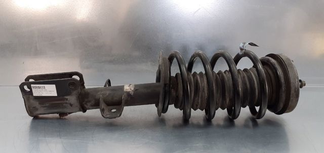 31316764600 BMW Amortiguador delantero derecho  comprar en Jaén