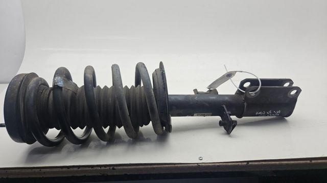 31316764602 BMW Amortiguador delantero derecho  comprar en Lleida