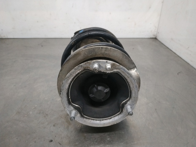 Amortiguador eje delantero izquierda 31316775055 BMW
