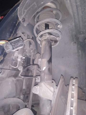 31316786004 BMW