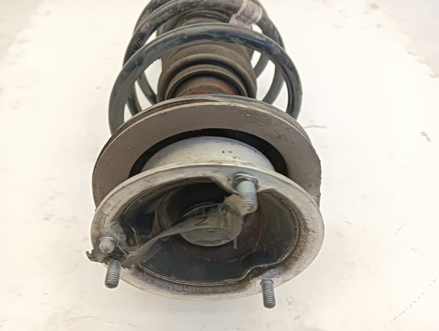 Amortiguador eje delantero izquierda 31316786017 BMW