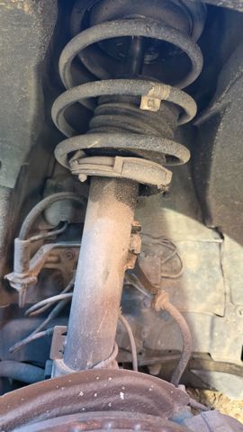 31316786021 BMW