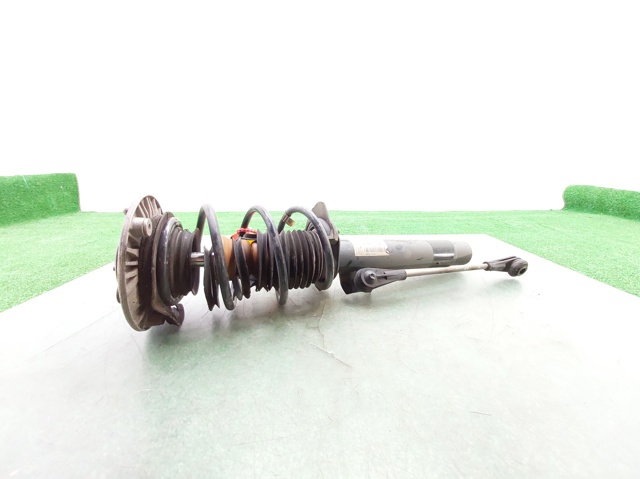31316791541 BMW