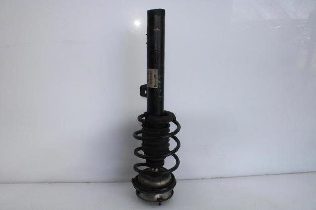 31316796155 BMW