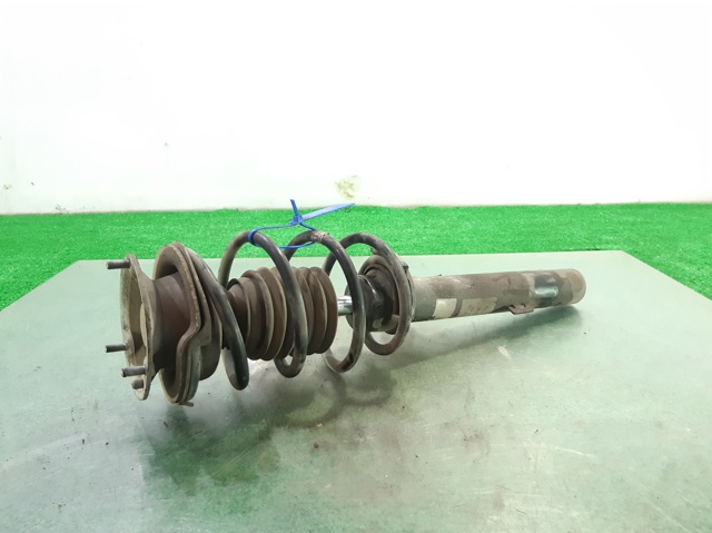 31316796155 BMW