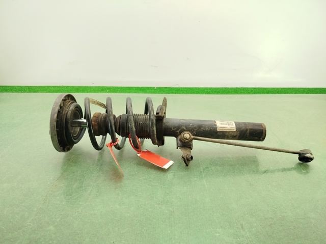 31316796315 BMW
