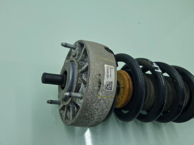Amortiguador delantero 31316851747 BMW