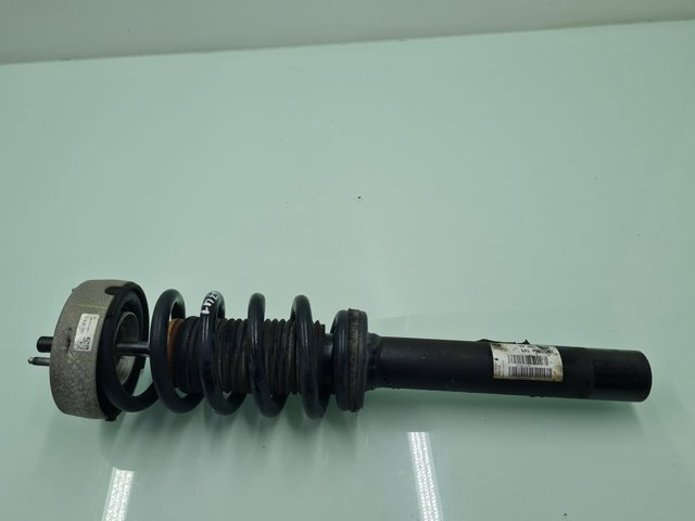31316851747 BMW