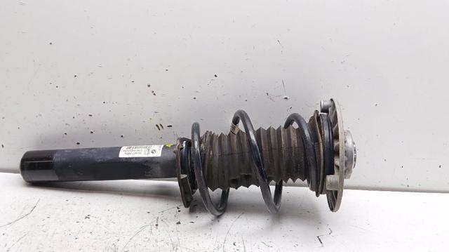 31316862445 BMW