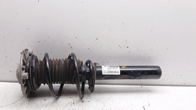 31316862446 BMW
