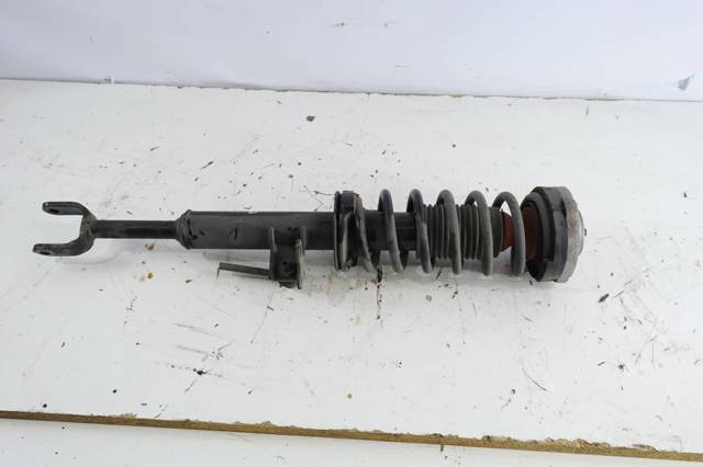31316863660 BMW