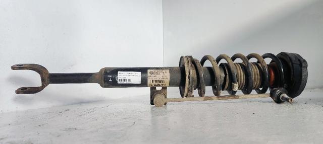 31316863887 BMW