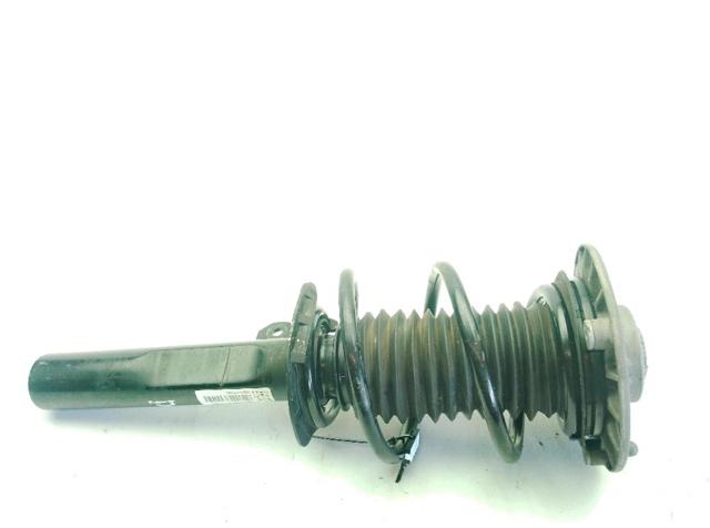 31316870818 BMW