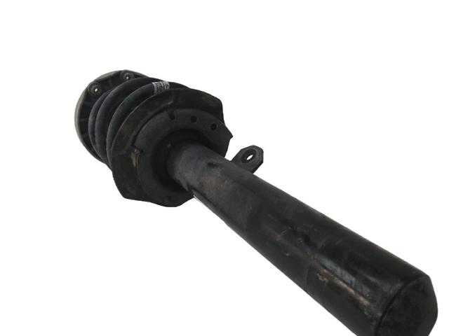 31316872521 BMW