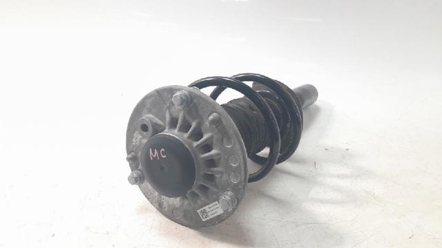 31316888142 BMW