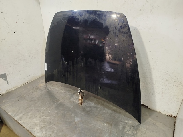 31371415 VOLVO Capó  disponible Ourense