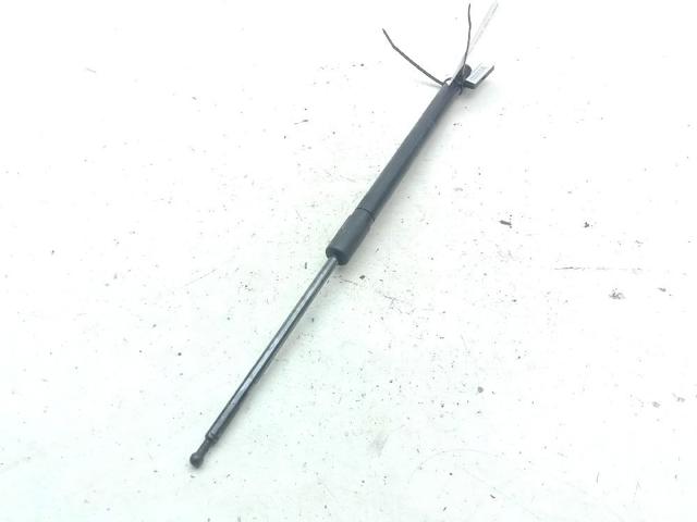 315005777 OPEL Amortiguador de la tapa del maletero  comprar en Oviedo