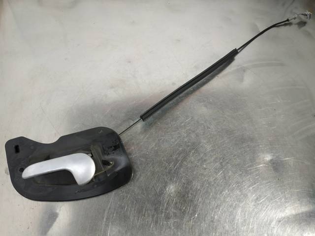316053479 Opel