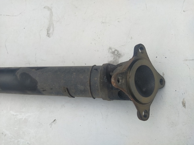 320003602R Renault (RVI)