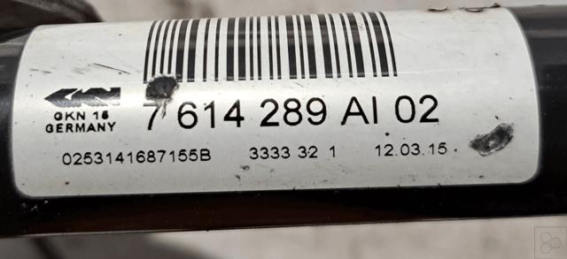 33326793769 BMW Mangueta trasera izquierda  disponible Alicante